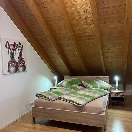 Ferienwohnung Zentral In Loerrach - Konus Gaestekarte Inklusive 外观 照片