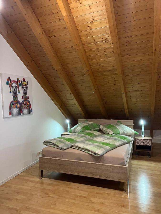 Ferienwohnung Zentral In Loerrach - Konus Gaestekarte Inklusive 外观 照片